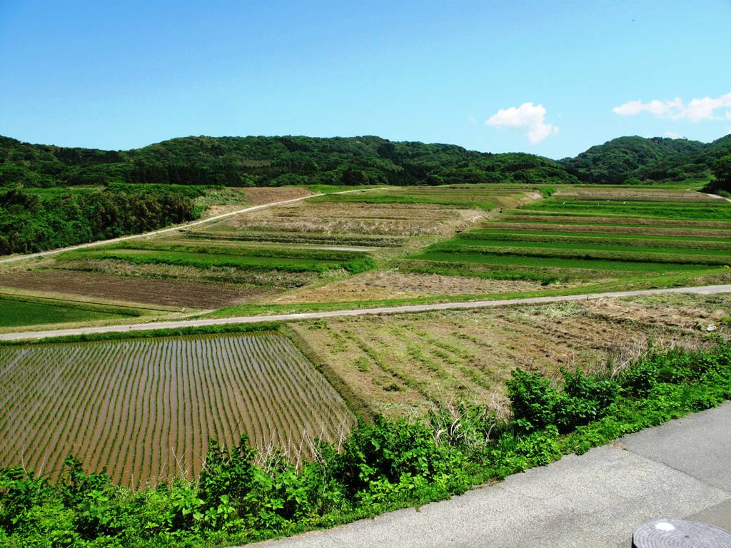 大笹波水田（棚田）