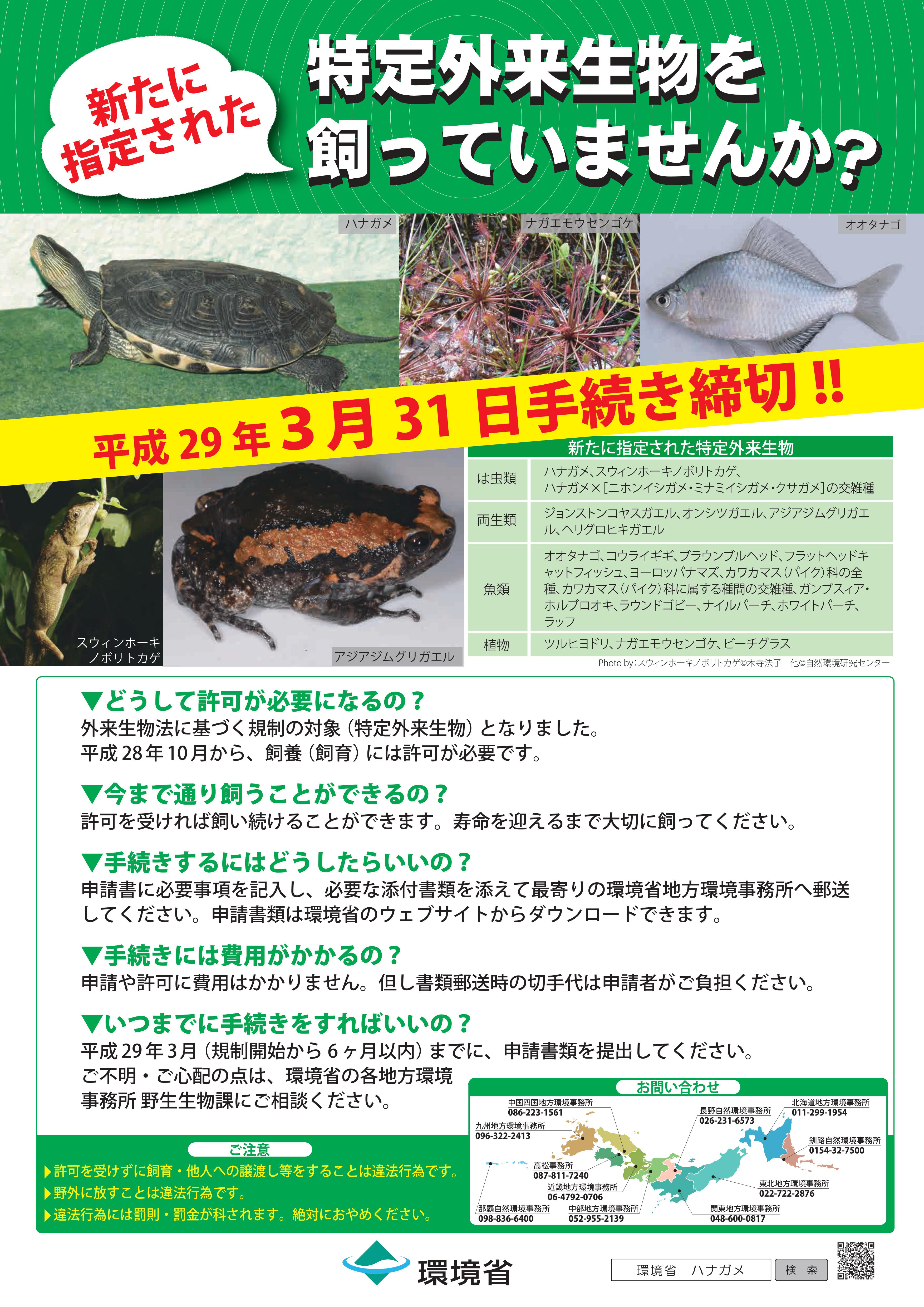 特定外来生物を飼っていませんか