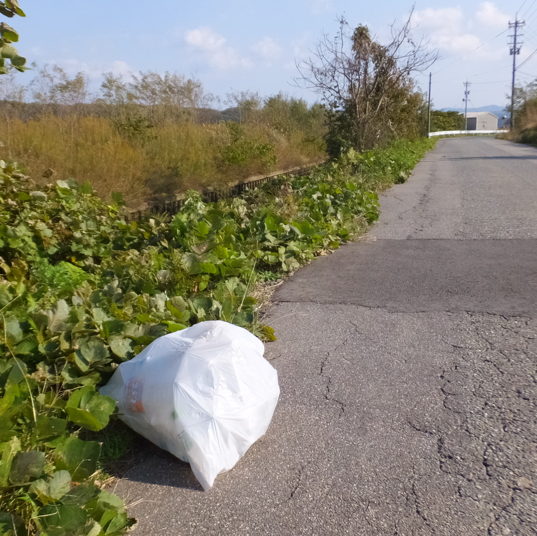 堂々と道に捨てられているごみ