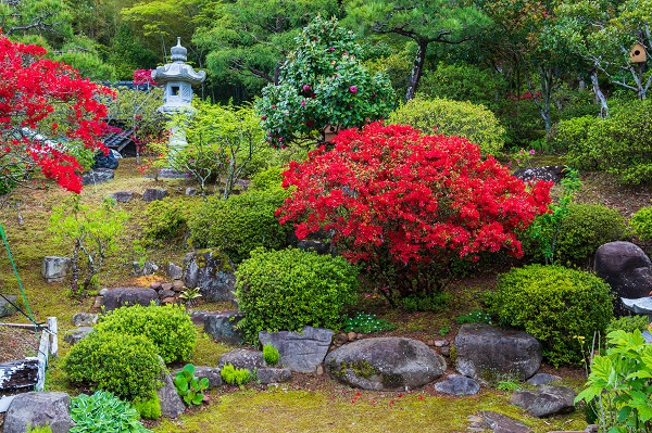 芳岡家