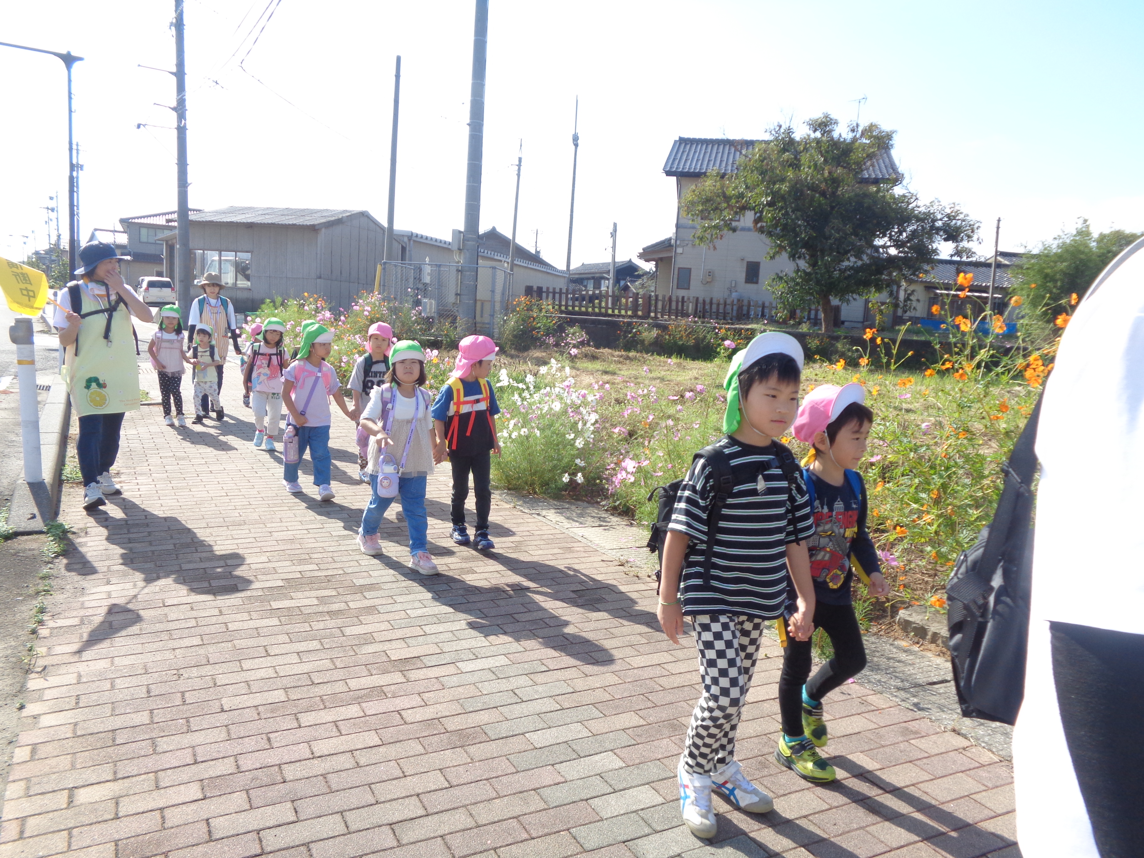 アリス館までレッツゴー！ばら、ひまわり