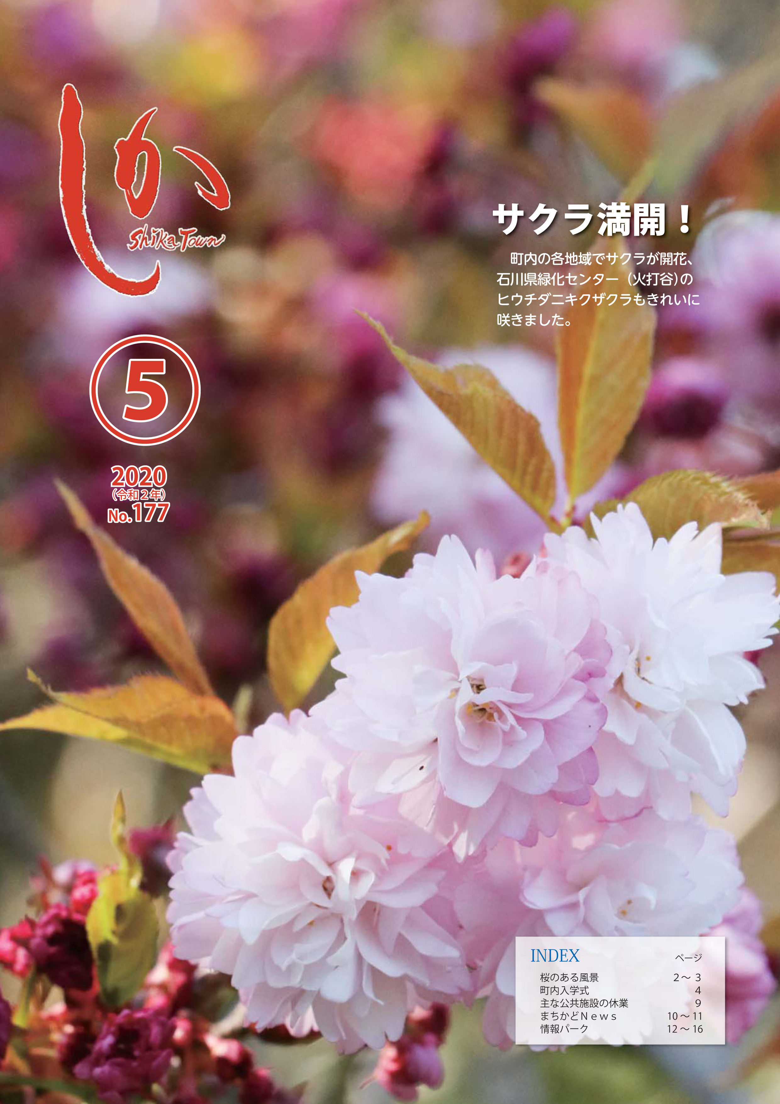 広報しか令和2年5月号の画像