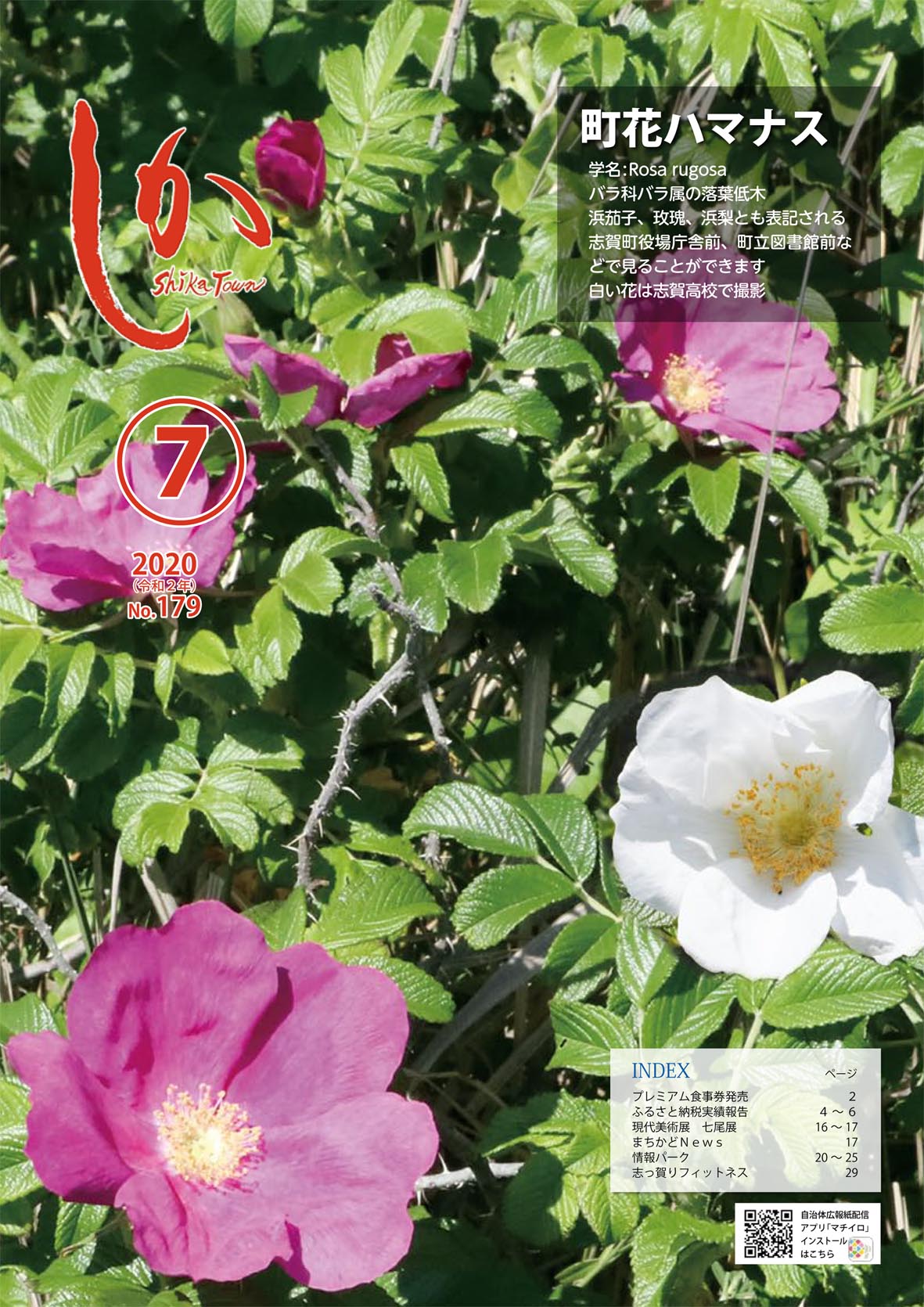 広報しか令和2年7月号の画像