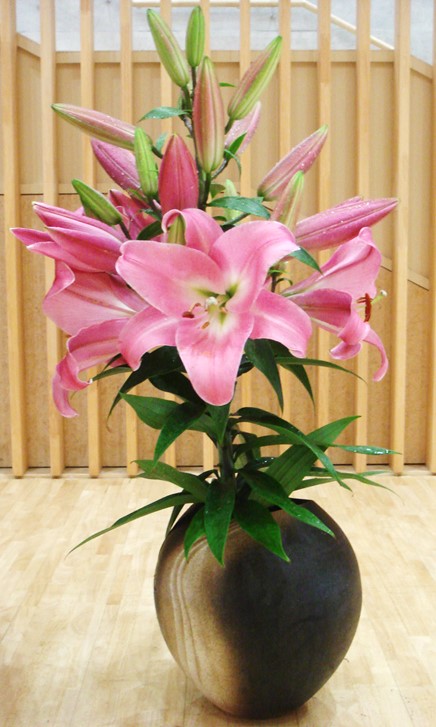 7月7日