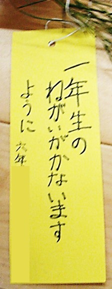 7月7日3