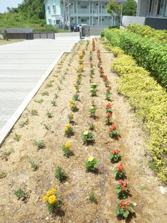 9月7日1