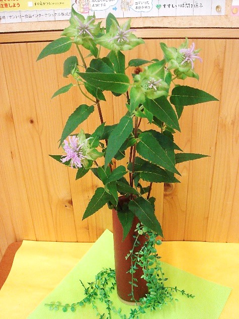 11月9日1
