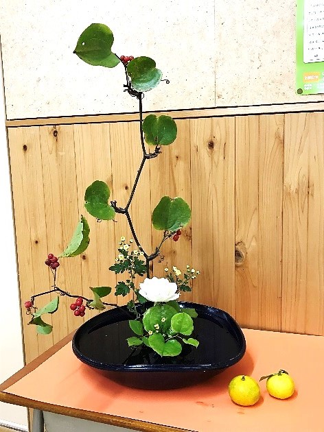 11月9日3
