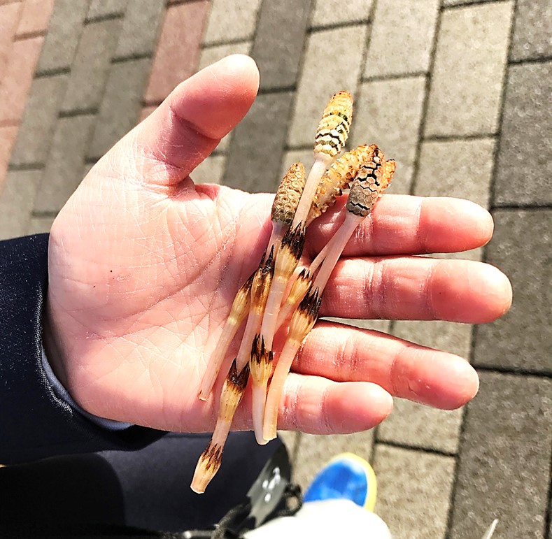 3月23日