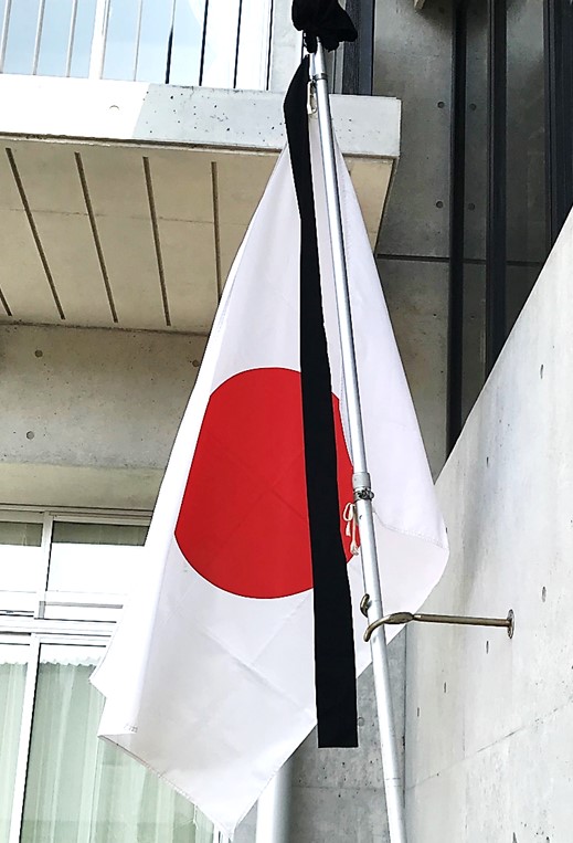 3月11日