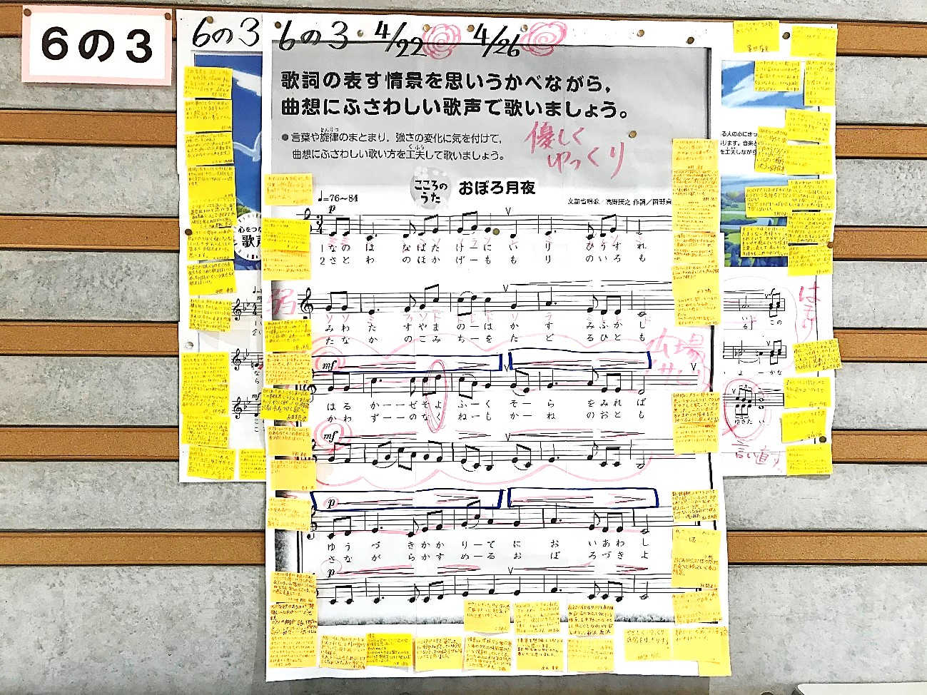 5月17日