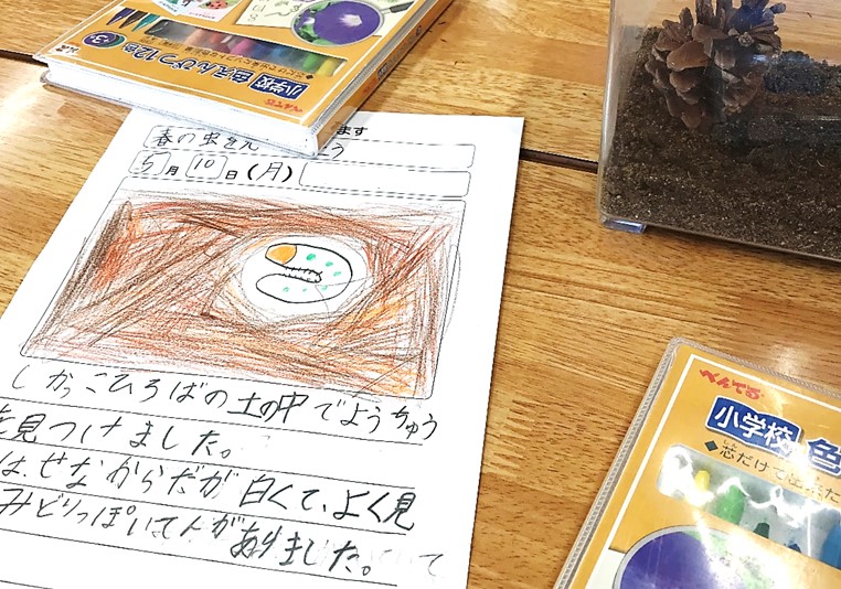 5月11日