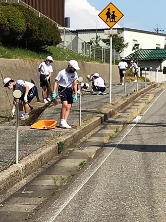 6月30日の画像3
