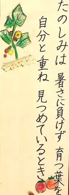 6月7日14