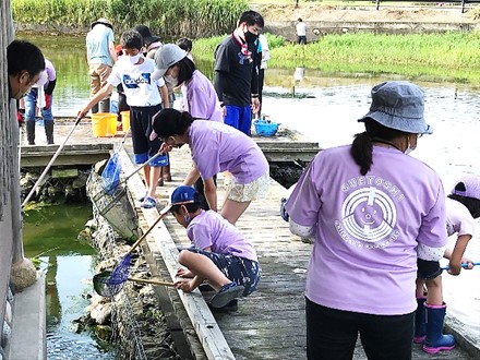 7月25日の画像1