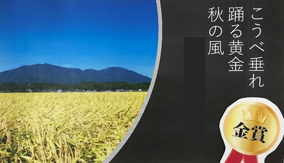 11月12日の画像13