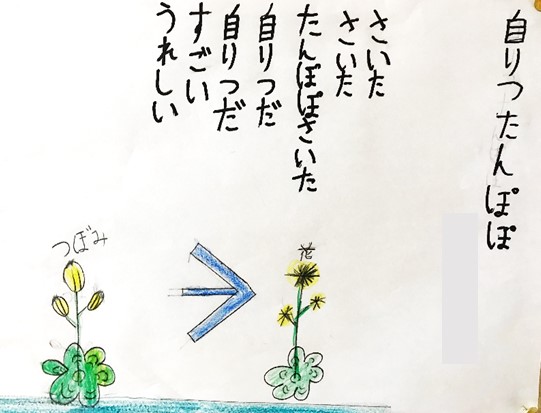 1月28日の画像5