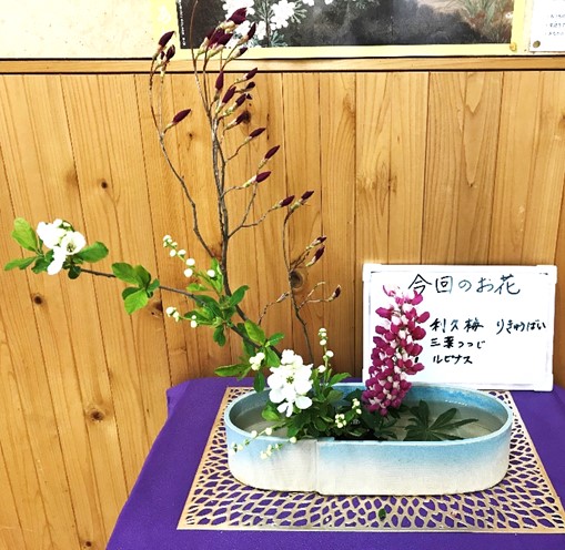 4月19日の画像2