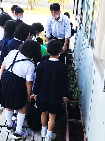 5月26日の画像2