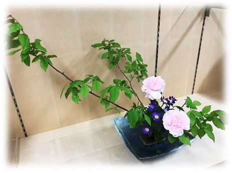 7月25日の画像2