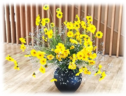 7月25日の画像6