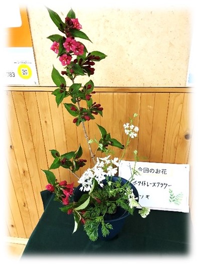7月21日の画像3