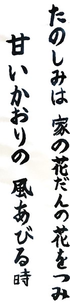 7月15日の画像7