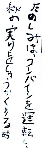 7月15日の画像9