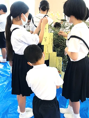 7月5日の画像4