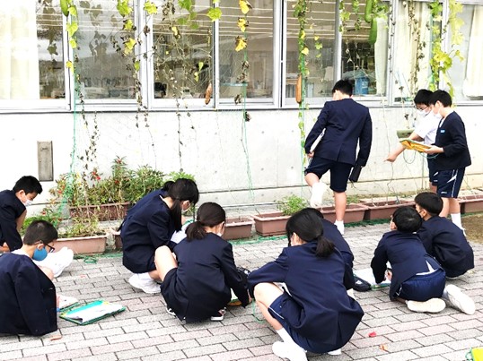 10月6日の画像1