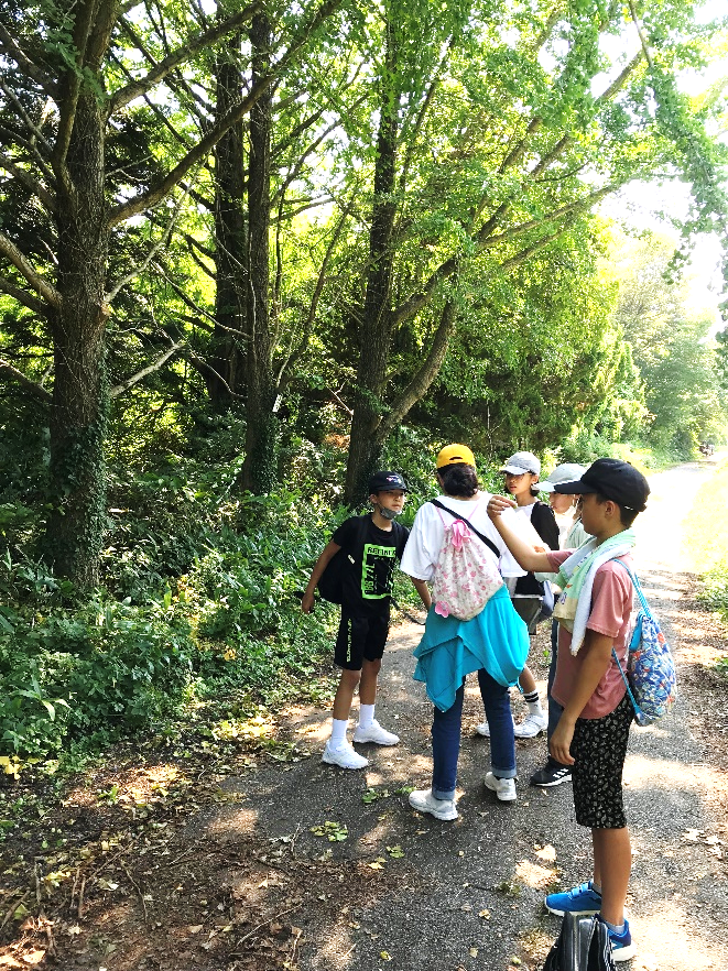 7月26日の画像2