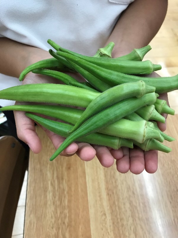 7月18日の画像2