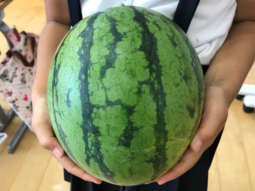 7月18日の画像3