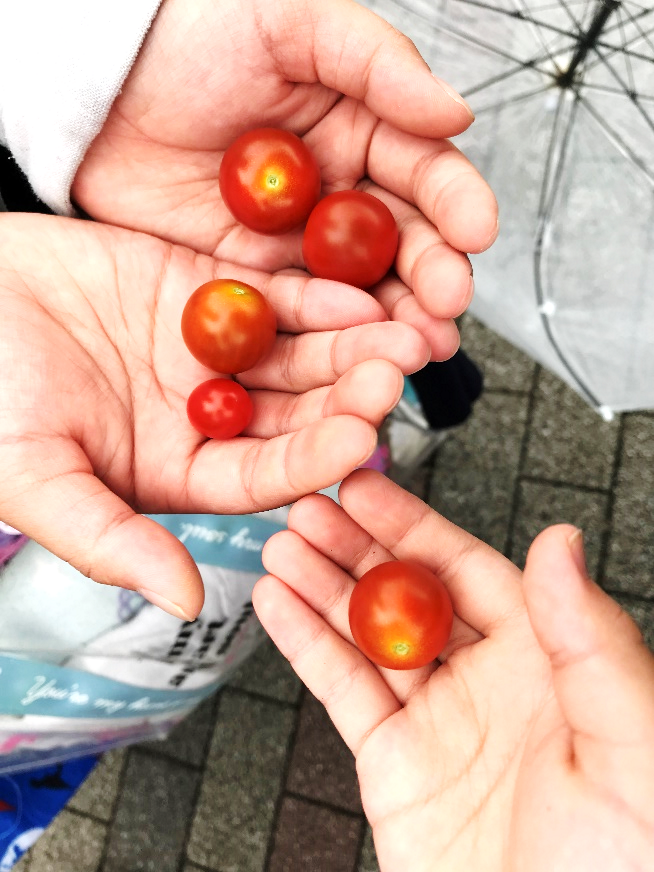 7月14日の画像3