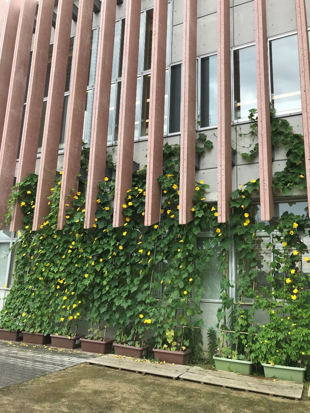 7月12日の画像2