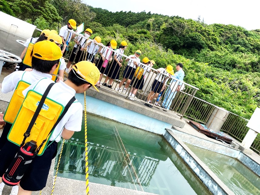 6月15日の画像2