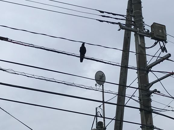 6月14日の画像1