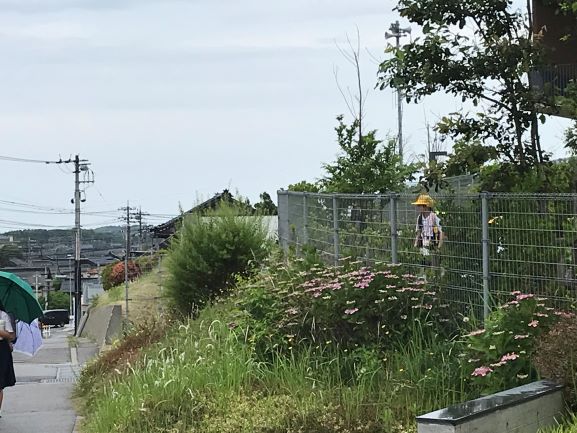 6月14日の画像2