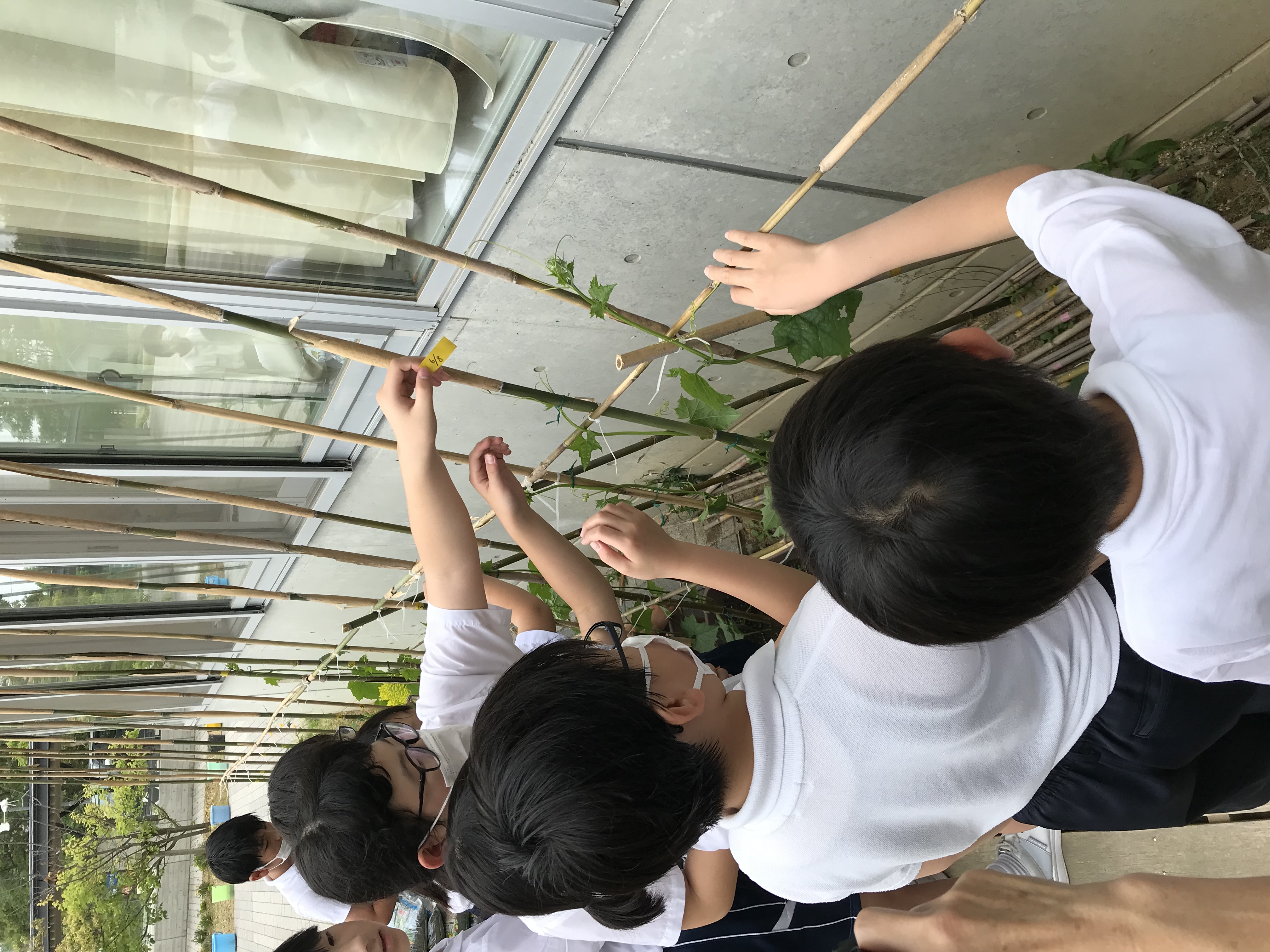 6月9日の画像1