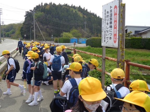 5月12日の画像4