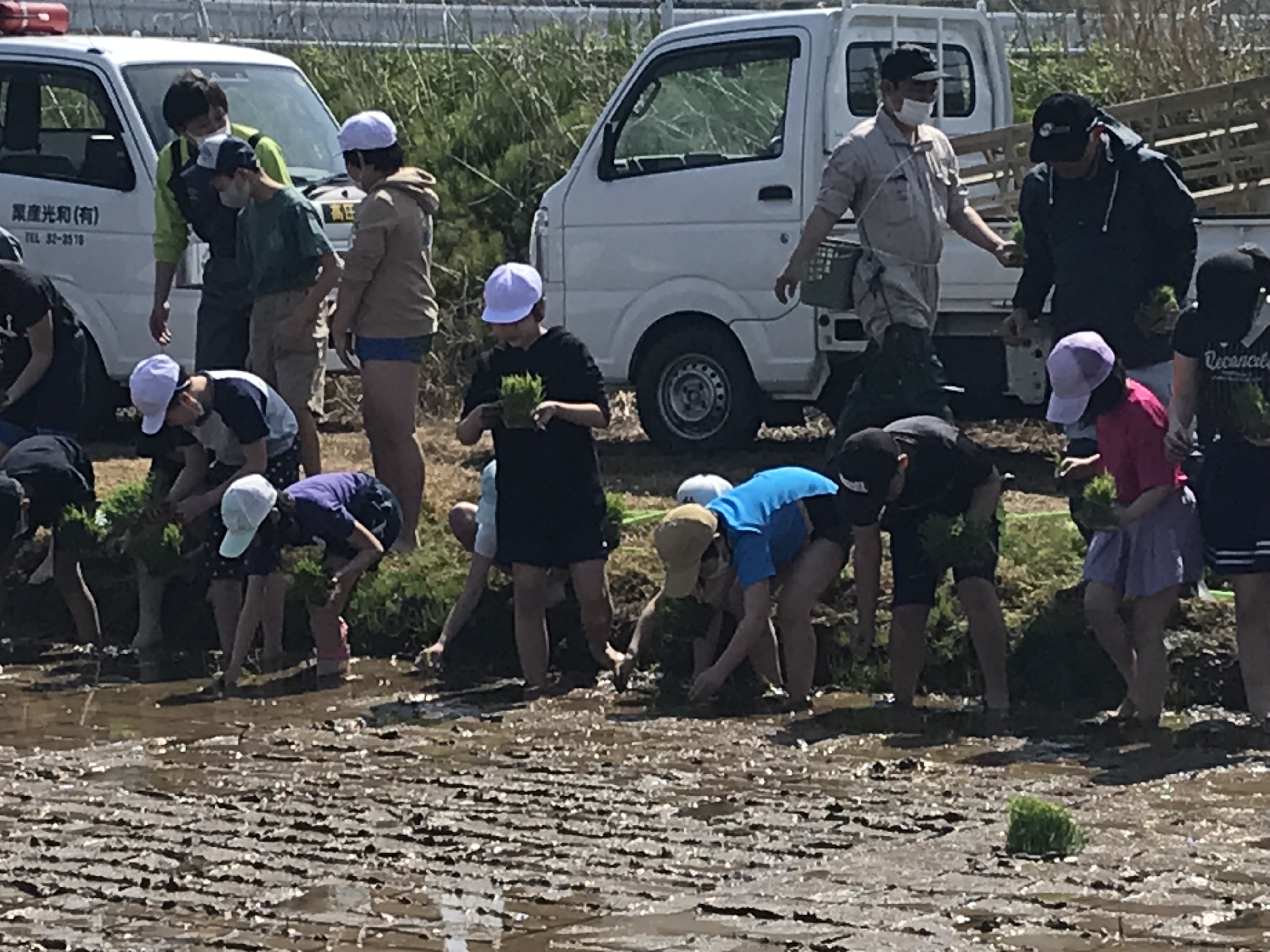 5月1日の画像