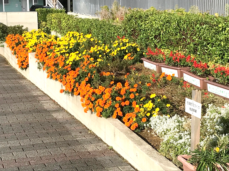 10月26日の画像