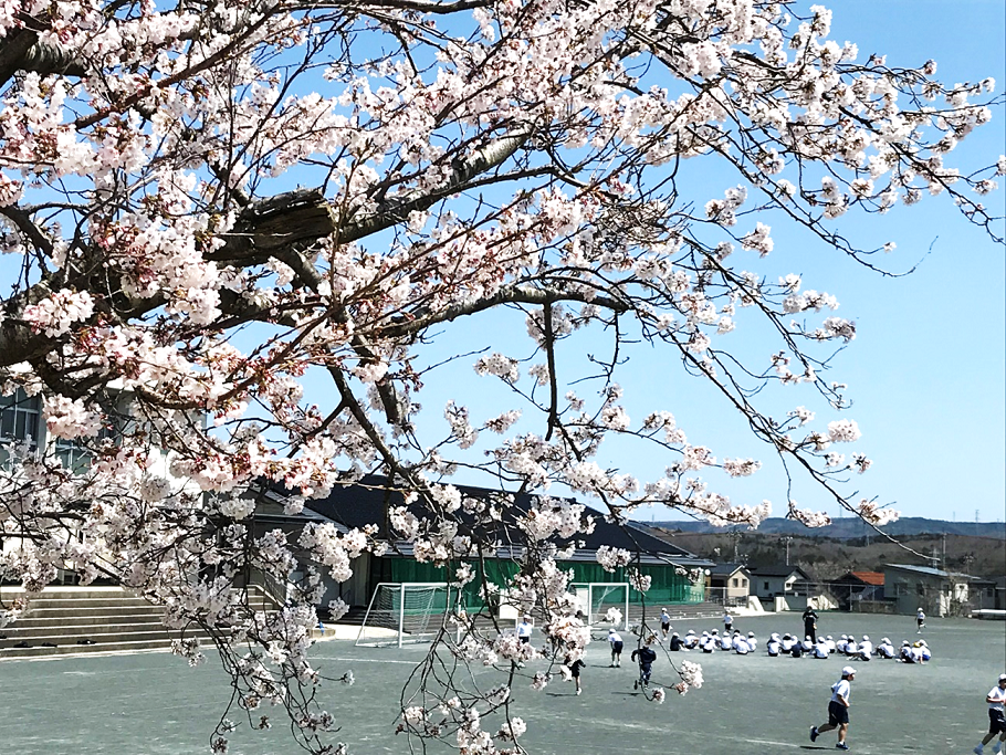 4月12日の画像2