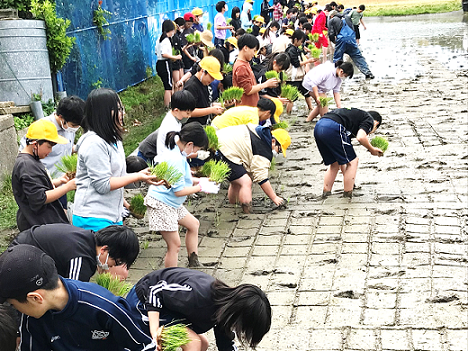 5月9日の画像2
