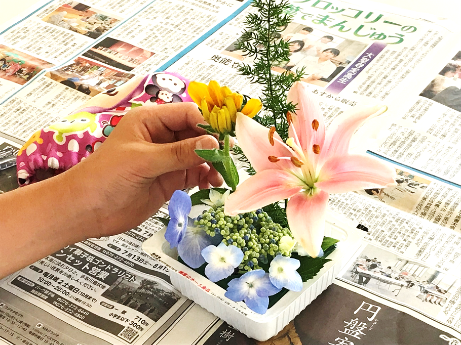 6月25日の画像