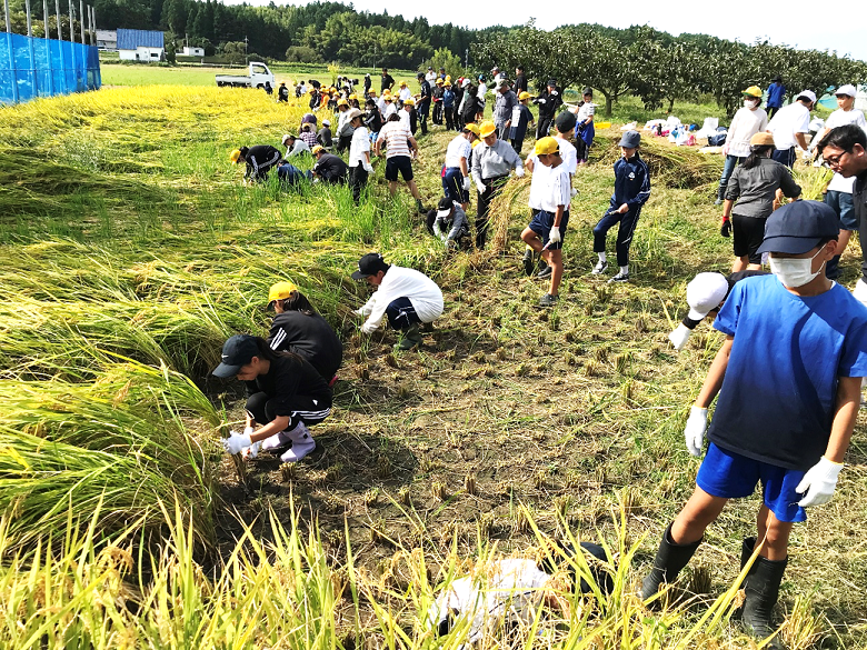 9月30日の画像