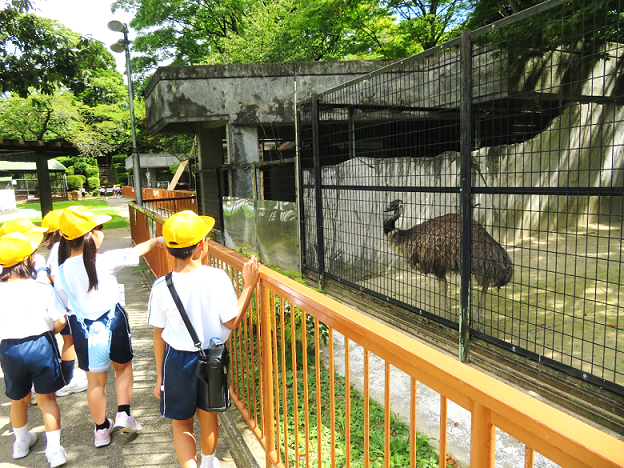 9月12日の画像2