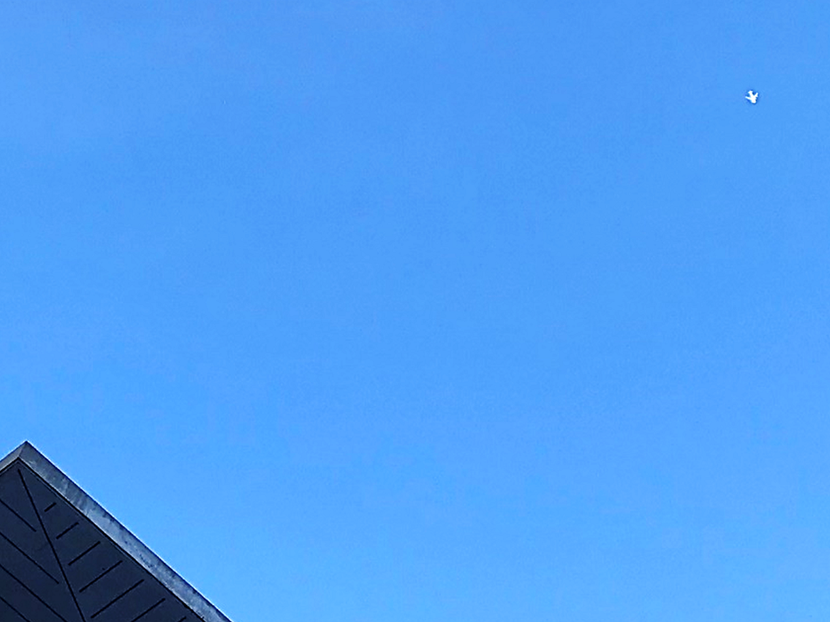 2月18日の画像