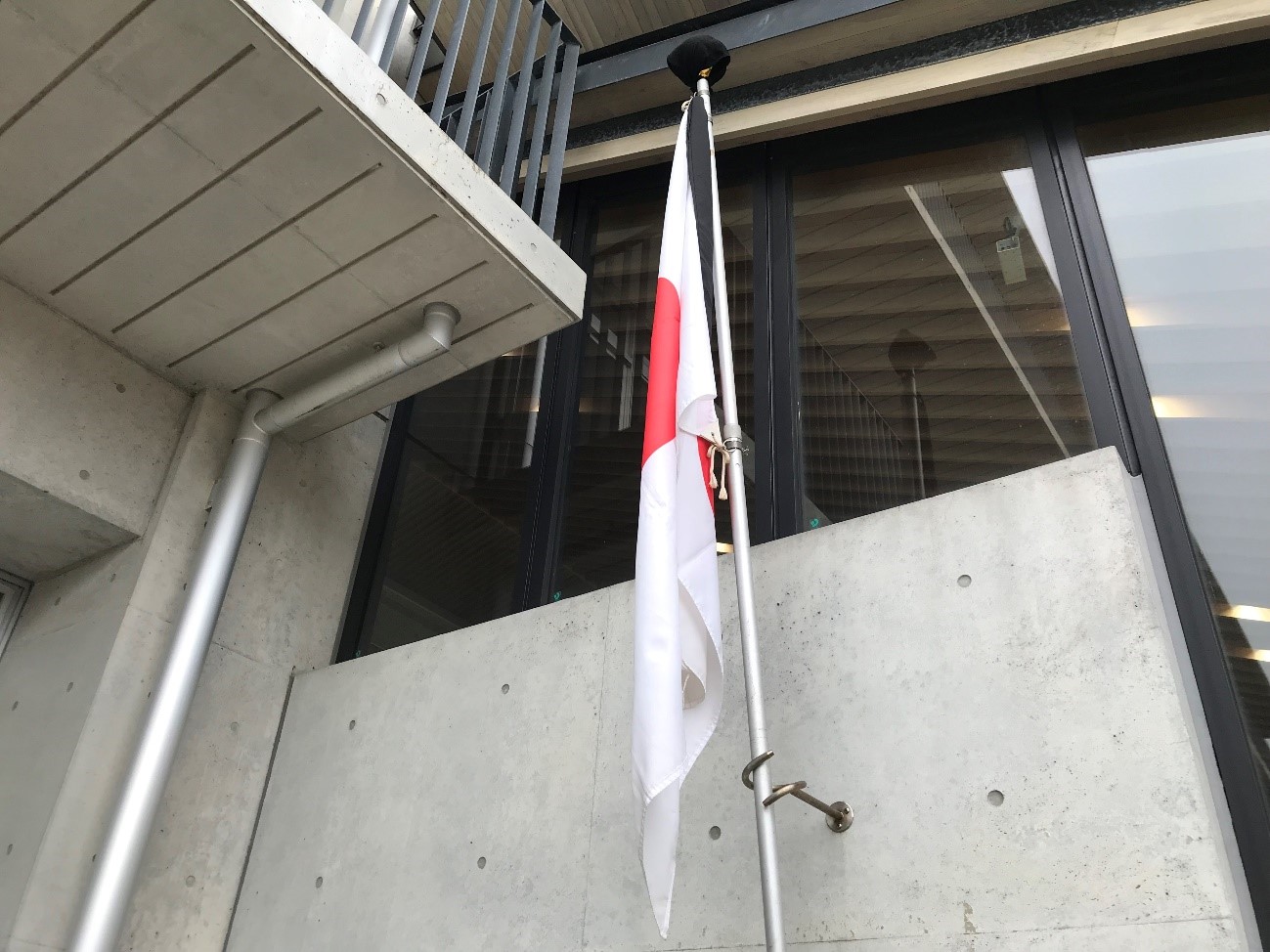 3月11日の画像2