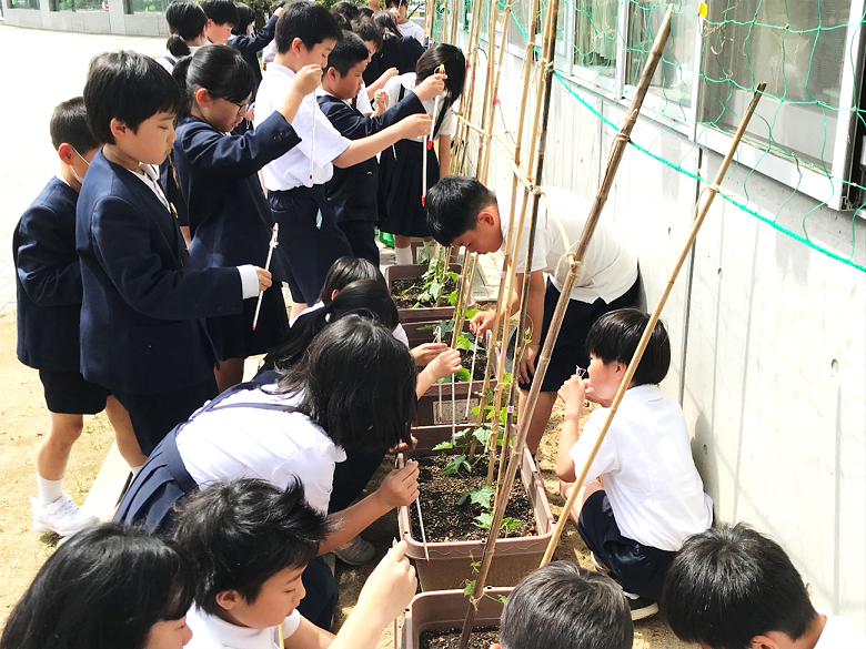 5月29日の画像2